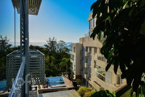 Image 10 - 916433