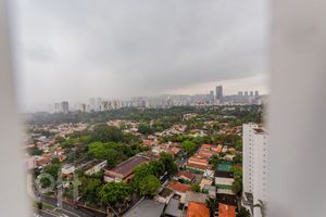Image 47 - 916458