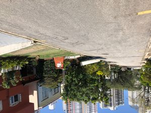 Image 9 - 916485