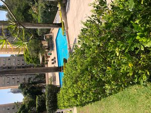 Image 11 - 916485