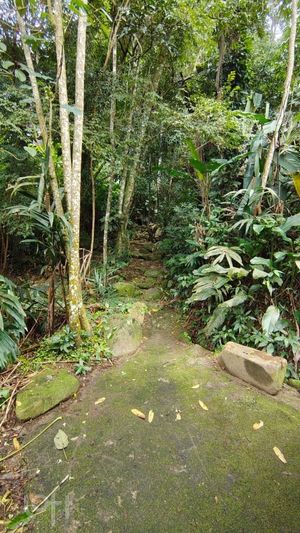 Image 17 - 916503