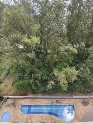 Image 14 - 916509