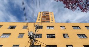 Image 8 - 916564