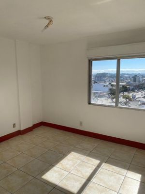 Image 11 - 916570