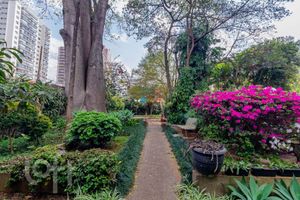Image 45 - 916572