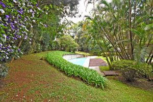 Image 30 - 916581