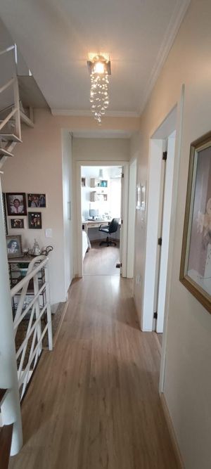 Image 8 - 916773