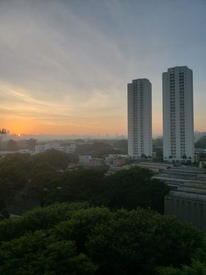 Image 17 - 916916