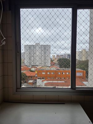 Image 9 - 917012