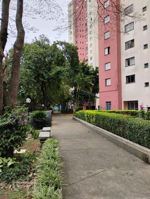 Image 29 - 917032