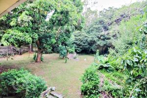 Image 17 - 917062