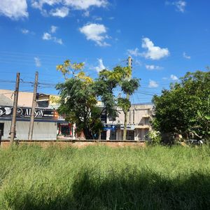 Image 4 - 917069