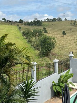 Image 19 - 917149
