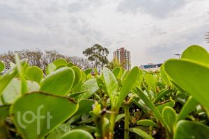 Image 50 - 917210