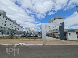 Image 19 - 917242