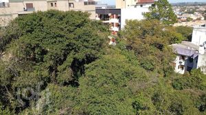 Image 65 - 917267