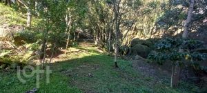 Image 36 - 917299