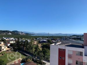 Image 11 - 917299