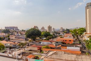 Image 13 - 917336
