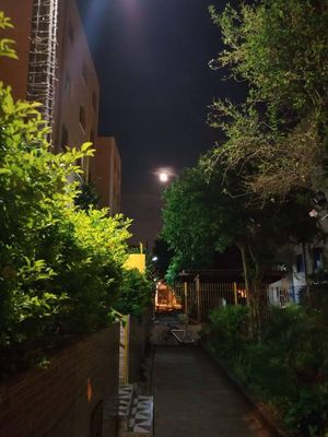 Image 12 - 917381