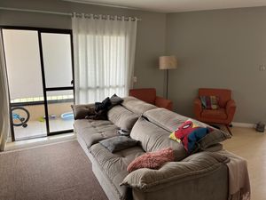 Image 13 - 917525