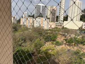 Image 14 - 917525