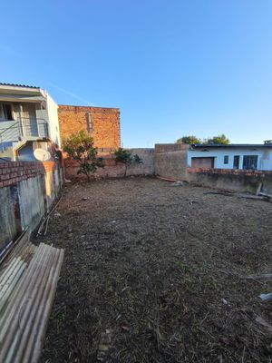 Image 6 - 917532