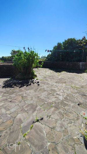 Image 19 - 917668