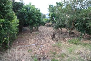 Image 3 - 917745