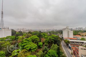 Image 8 - 917763