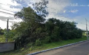 Image 3 - 917779