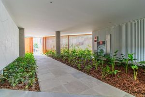 Image 19 - 917784