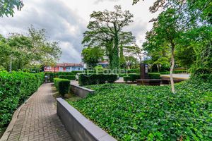 Image 6 - 917867