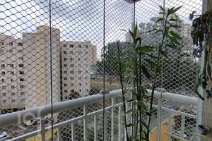 Image 4 - 917901