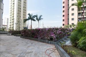 Image 28 - 917975