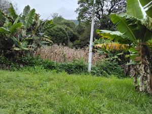 Image 23 - 918006