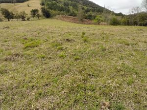 Image 26 - 918006