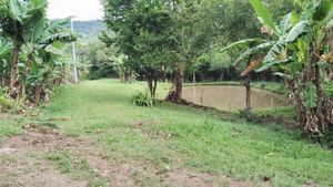 Image 15 - 918006