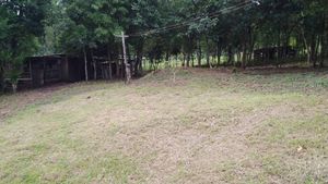 Image 14 - 918006