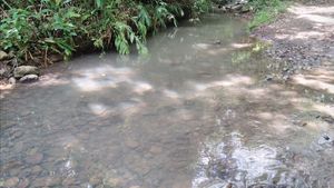 Image 8 - 918006