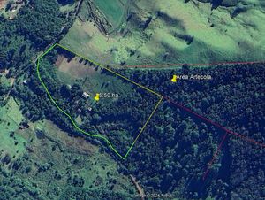 Image 13 - 918006