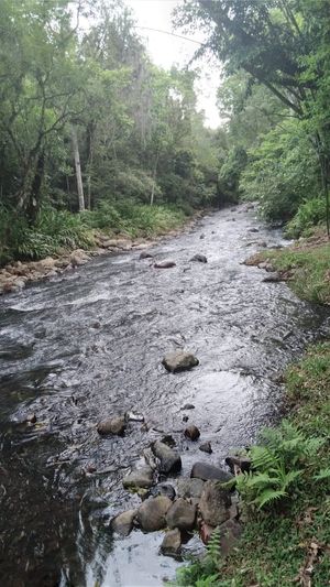 Image 16 - 918006
