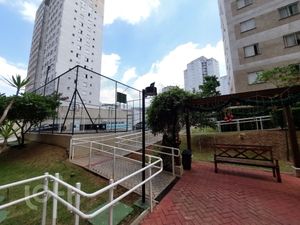 Image 14 - 918031