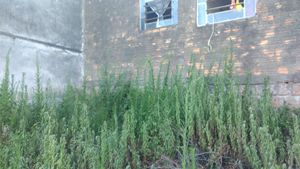 Image 8 - 918102