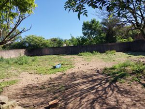 Image 9 - 918172