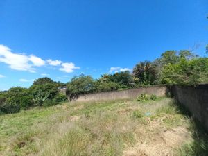 Image 10 - 918172