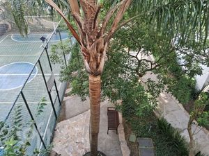 Image 10 - 918215