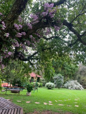 Image 1 - 918249