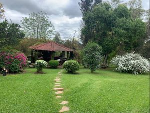 Image 6 - 918249