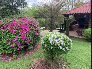 Image 5 - 918249